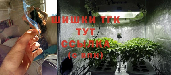 соль ск Балахна