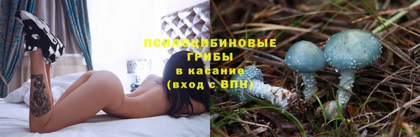 соль ск Балахна