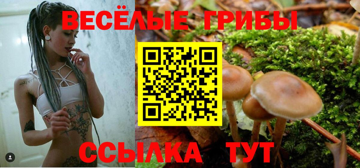 Псилоцибиновые грибы Magic Shrooms Бор